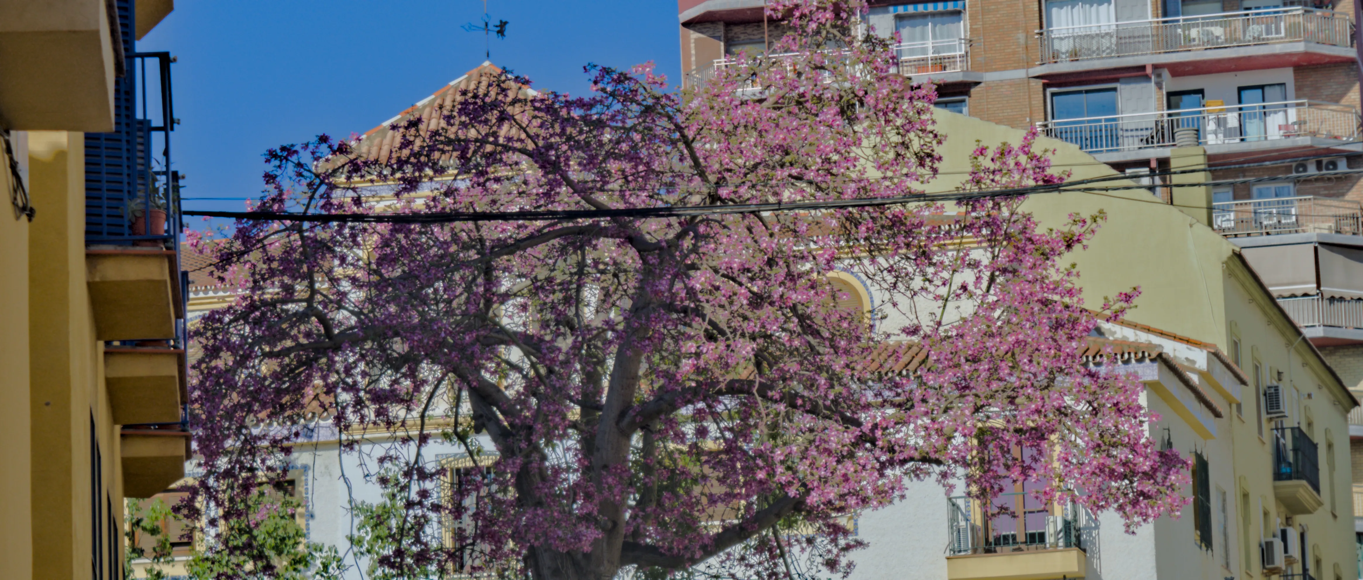 Industar-50-2 50mm f3.5 (M42) - _I4A0905.webp